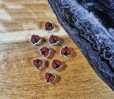 Mini Lady Bugs